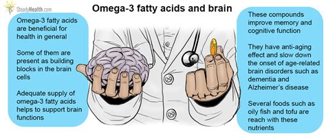 omega 3 impact on brain